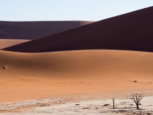 16_Dead-Vlei